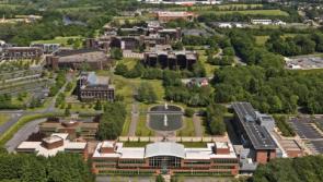 Further questions for University of Limerick as details of confidential audit are revealed