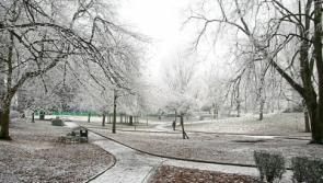 Limerick bracing itself for 'Beast from the East'