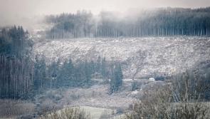 Met &Eacute;ireann issue red alert snow and ice warning for Limerick