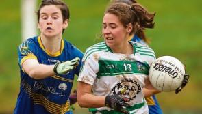 Northern football visitors on the double for Limerick this Sunday