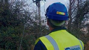 ESB warns Limerick campaigners not to use electricity poles