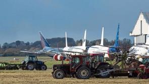 Fodder crisis: Shannon Airport to cut silage for Limerick farmers