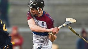 Limerick trio in Fitzgibbon Cup Team of the Year