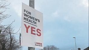 Former Education Minister reports removal of referendum posters to Limerick gardai