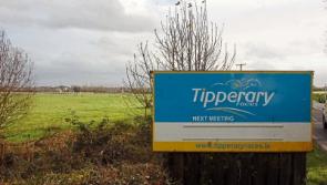 Cashel & Emly archdiocese to host free family fun day on Sunday