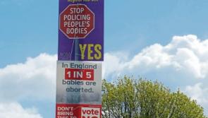 Limerick council warns that referendum posters must be removed by Friday