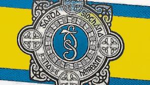 Gardai appeal for information after man, 67, killed in suspected hit-and-run