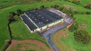 Old warehouse on Limerick outskirts that couldn&rsquo;t be 'given away' sells for over &euro;500k