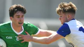 Limerick progress to Tailteann Cup quarter-finals despite defeat to Wicklow