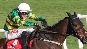 Bumper spell of success for Limerick jockeys on the track