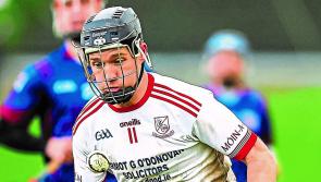 Limerick's Monaleen crowned Munster intermediate club hurling champions