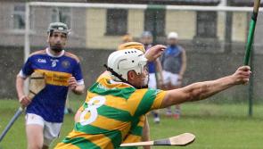 South Liberties see off Patrickswell to reach Limerick SHC semi-final