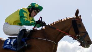 Winners galore for Limerick racing connections