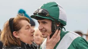 Limerick trainer dreaming of Cheltenham Festival glory after big race win at Navan