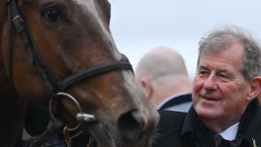 WATCH: Limerick owner JP McManus celebrates milestone Cheltenham Festival success