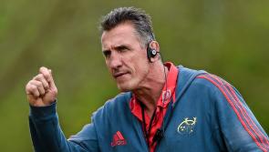 Former Munster Rugby coach lands top job with New Zealand Super Rugby side