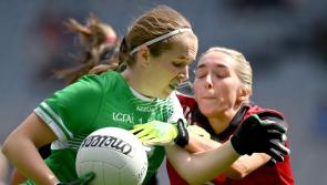 Limerick boss Graham Shine fancies Limerick for All-Ireland final return in 2024