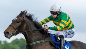 Limerick racing connections enjoy bumper spell on the track