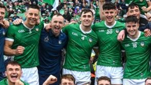 14 Limerick players earn PwC hurling All-Star nominations