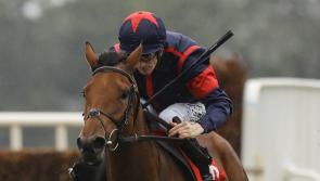 Limerick jockeys and trainers in rich vein of form on the track