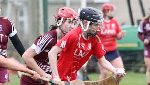 Extra-time heartbreak for brave Monaleen in Munster club junior camogie final