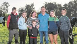 Limerick family aims for another All-Ireland title