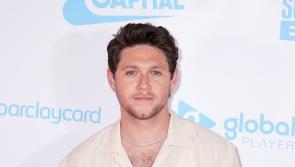 Singer Niall Horan joins latest episode of Trainspotting With Francis Bourgeois