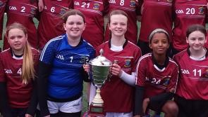 South Limerick see off Limerick City to win Neville Cup