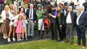 Rathkeale's Conor McNamara among winners in successful period for Limerick jockeys