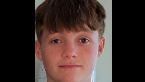 UPDATED: Garda&iacute; issue appeal to find 15-year-old Ronan