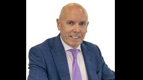 Greyhound Racing Ireland confirms appointment of new CEO