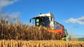 McConalogue calls for proposals to boost agri-food tourism across Ireland