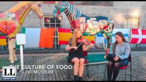 WATCH: Pigs, pianos and more for Limerick's Culture Night 
