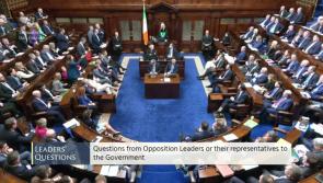 'Resume your seats!' D&aacute;il suspended amid chaotic scenes over speaking rights row