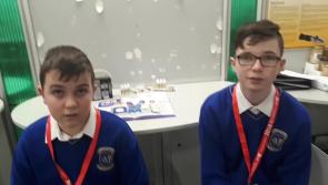 WATCH: Limerick lads look at effects of vaping on the body at BT Young Scientist 