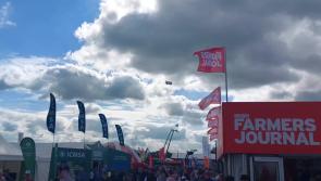 WATCH: Crowds gather on day one of the 2022 Ploughing Championships