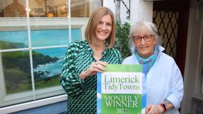 Tidy Towns award for Limerick artist and gallery owner