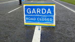 Husband and Wife who passed away following hit and run in Dublin named locally 