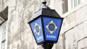 Two men to appear before Criminal Courts following &euro;390k cash seizure in two counties