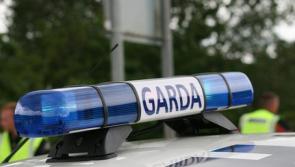 Garda&iacute; urge witnesses to Dundalk shooting to come forward