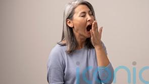 Low on energy for the new year? 9 healthy snacks to power you through January