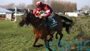 National hero Tiger Roll back over hurdles at Navan