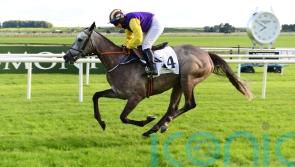 Princess Zoe to limber up for overseas mission with Leopardstown gallop
