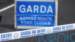 Gardai seek video footage of Leinster collision following death of man in his 20s