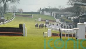 Plumpton victor Pat Murphy outlines joint licence plan