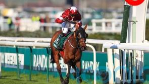 Tiger Roll in Grand National mix once again