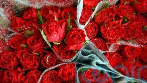 Forgot to buy Valentine's Day flowers? A new study says it's not your fault! 