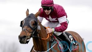 O'Leary pulls Tiger Roll from Grand National after 'absurd' handicap rating