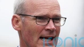 'My job as foreign minister is to try to think ahead' - Coveney rules out Filatov expulsion