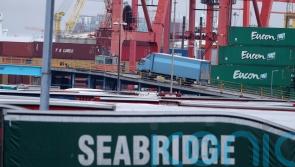 Brexit didn't hit Ireland as hard as feared, Oireachtas committee hears